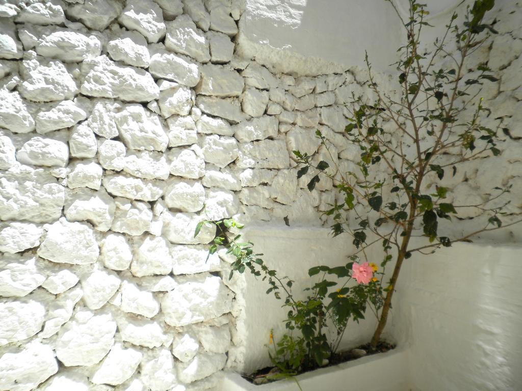 Kostas Studios II Vasilikí Zewnętrze zdjęcie